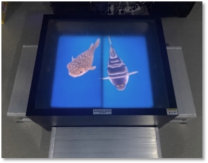 乐宝体育·(中国)官方网站